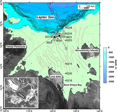 Methane-Derived Authigenic Carbonates on the Seafloor of the Laptev Sea Shelf